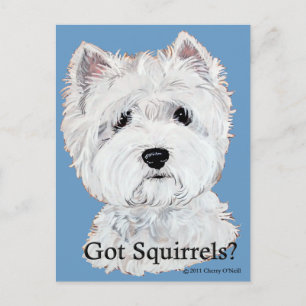 Westie Har Squirrels? Vykort