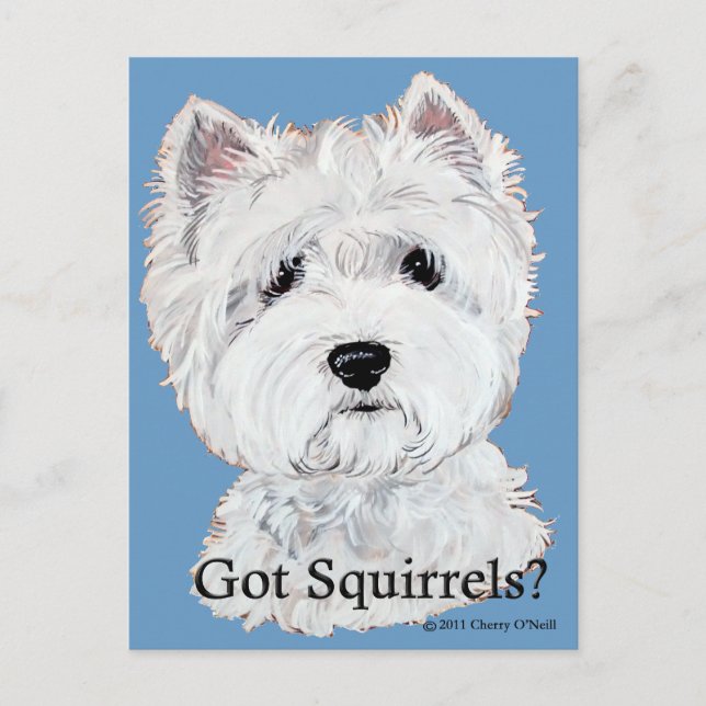 Westie Har Squirrels? Vykort (Framsida)