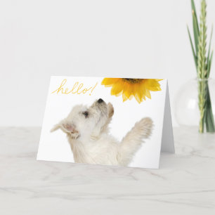 Westie Hej Blank Notecard Kort