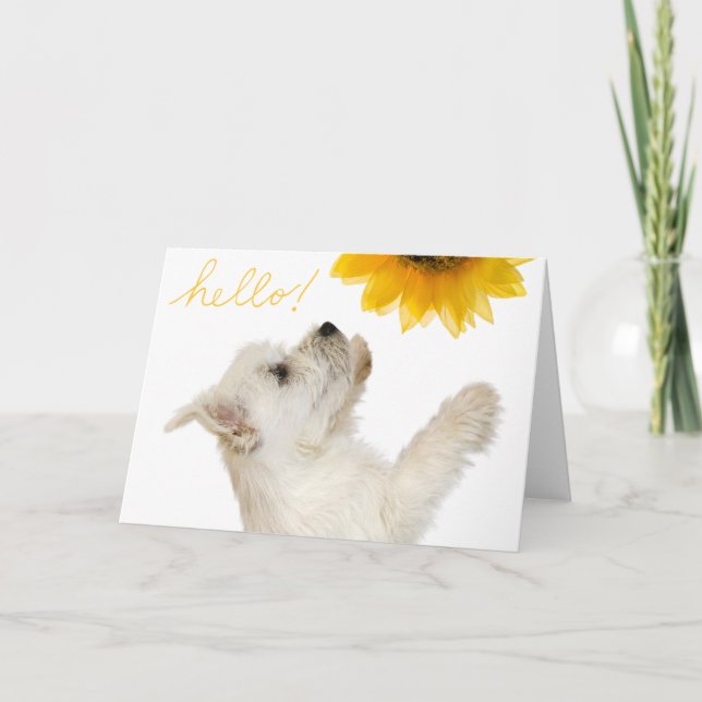 Westie Hej Blank Notecard Kort (Framsida)