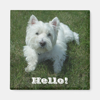 Westie Hej Photo Magnet