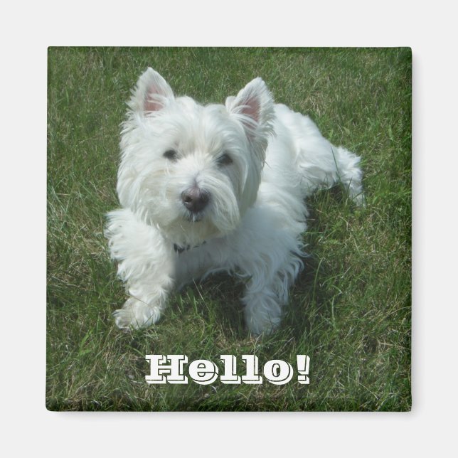Westie Hej Photo Magnet (Framsidan)