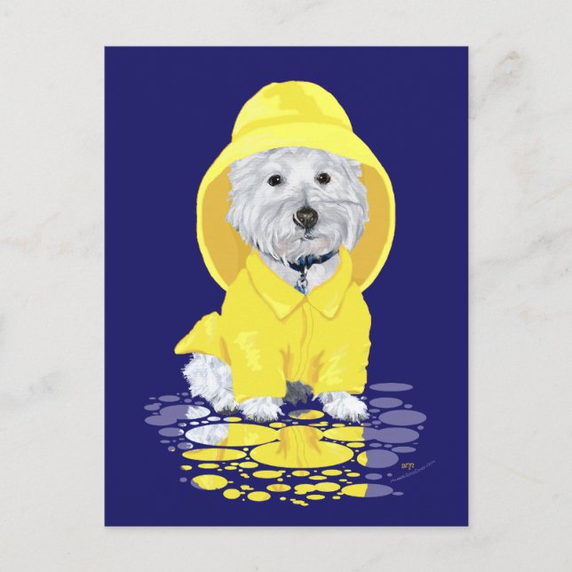 Westie Hund April Showers Vykort (Framsida)