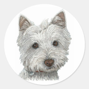 Westie hund runt klistermärke