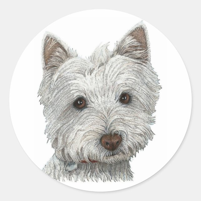 Westie hund runt klistermärke (Framsida)