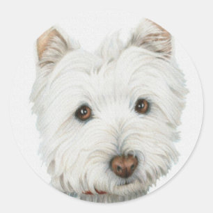 Westie Hund Runt Klistermärke