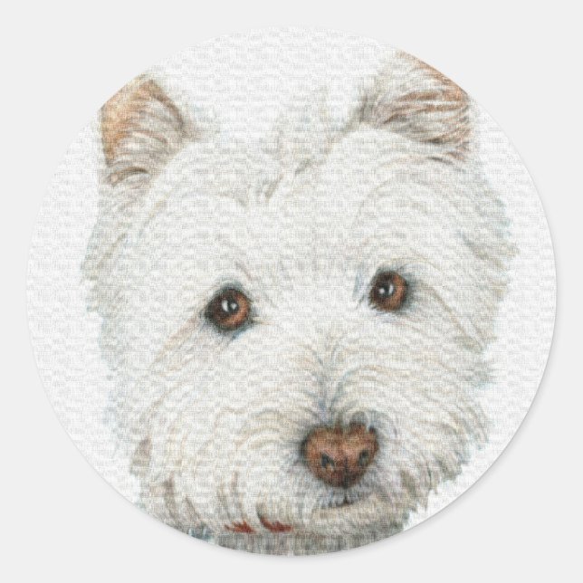 Westie Hund Runt Klistermärke (Framsida)