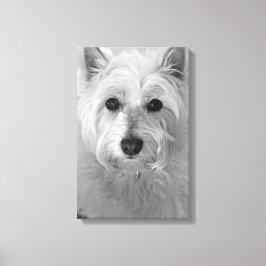 Westie Hund (Väster Highland White Terrier) Canvas