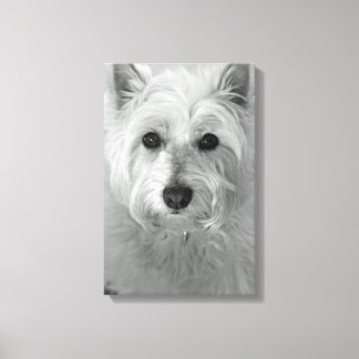 Westie Hund (Väster Highland White Terrier) Canvas