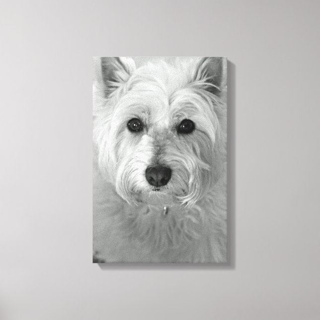 Westie Hund (Väster Highland White Terrier) Canvas (Framsida)