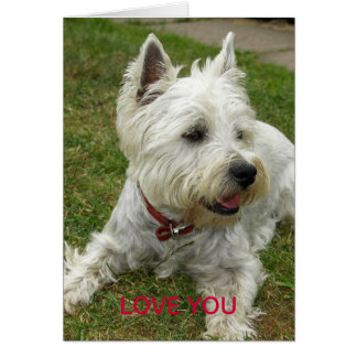 Westie hundkort hälsningskort