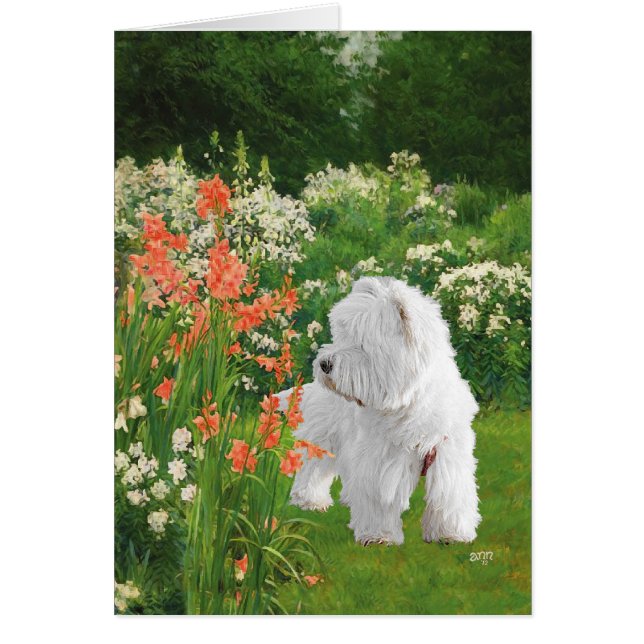 Westie i Garden Hälsningskort (Framsidan)