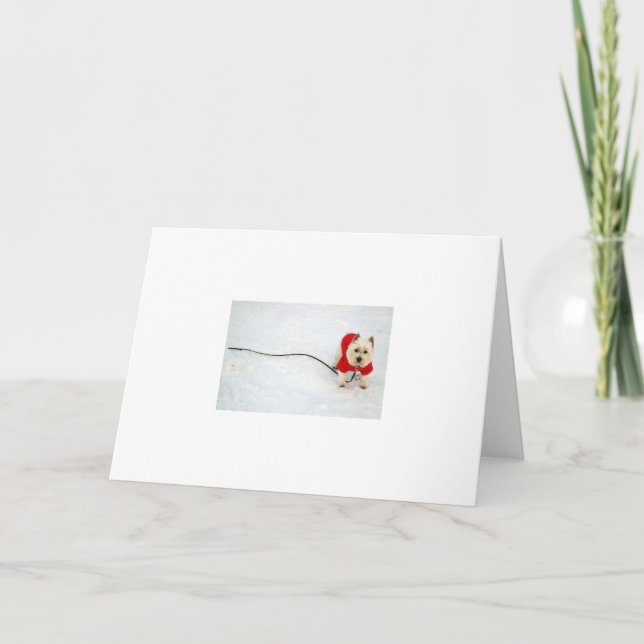Westie i snön helgkort (Framsida)