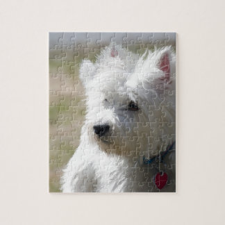 Westie i springtimen pussel
