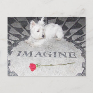 Westie Imagines World Peace Vykort