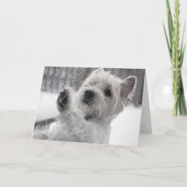 Westie in Rain Kort
