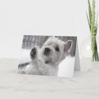 Westie in Rain Kort