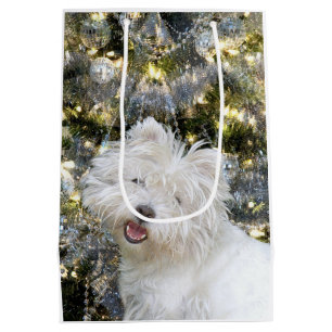 Westie jul