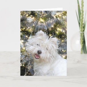 Westie Jul Helgkort