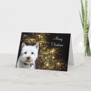 Westie jul helgkort
