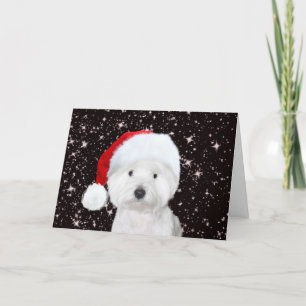 Westie Jul Kort