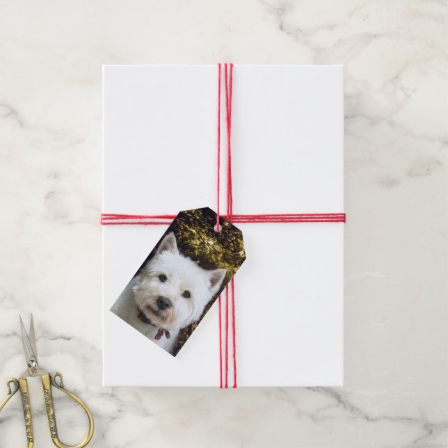 Westie Jul Presentetikett (Med Snöre)