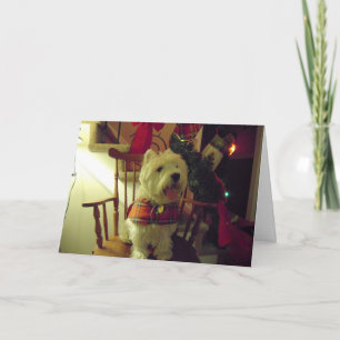 Westie julkort helgkort