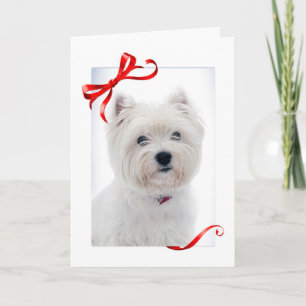 Westie julkort helgkort