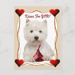 Westie Kisses åt dig Vykort