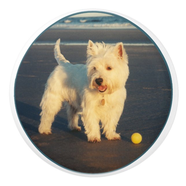 Westie Knopp (Framsidan)