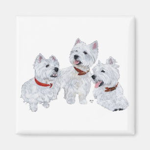 Westie-konferens Magnet