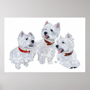 Westie-konferensen Poster