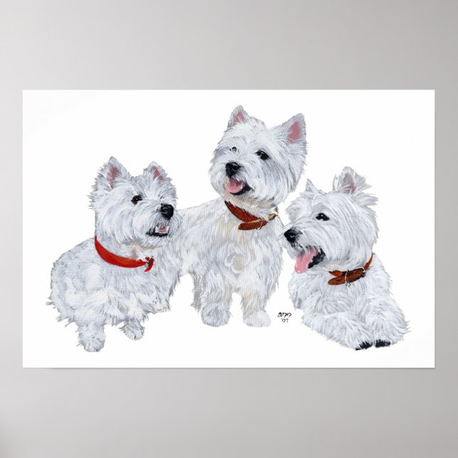 Westie-konferensen Poster (Framsidan)