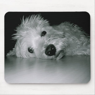 Westie koppla av musmatta