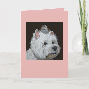 Westie-kort Kort
