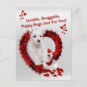 Westie Lovable Snuggable Puppy Hugs Valentine Helg Vykort