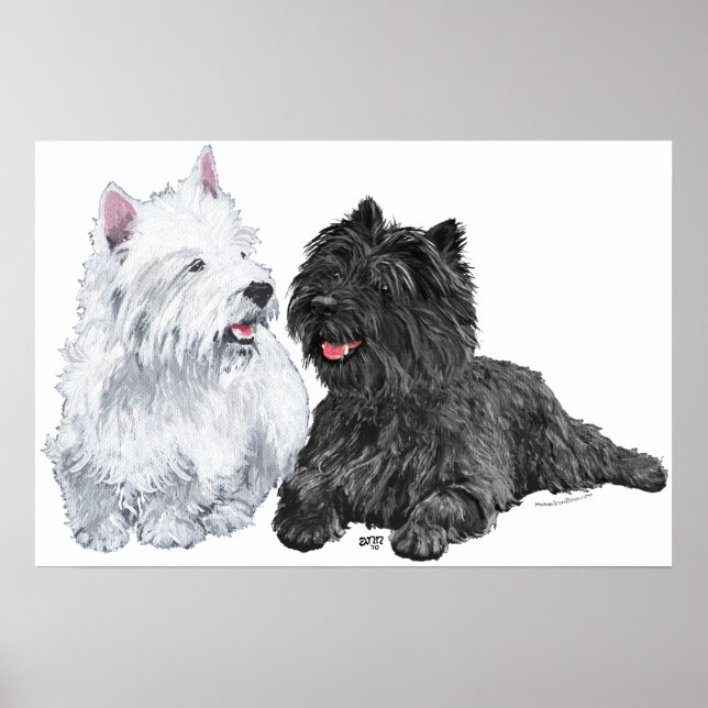 Westie med en svart Cairnterrier Poster (Framsidan)
