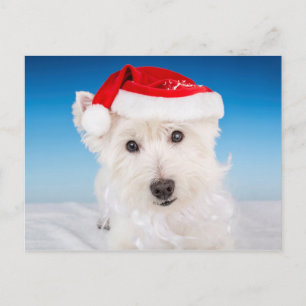 Westie med Santa Hat och Beard Helg Vykort