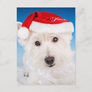 Westie med Santa Hat och Beard Helg Vykort