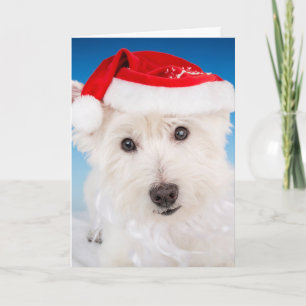 Westie med Santa Hat och Beard Helgkort