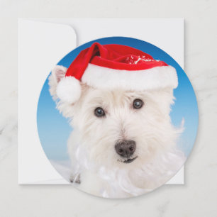 Westie med Santa Hat och Beard Julkort