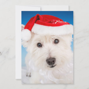 Westie med Santa Hat och Beard Julkort
