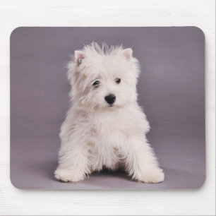 Westie mousepad musmatta