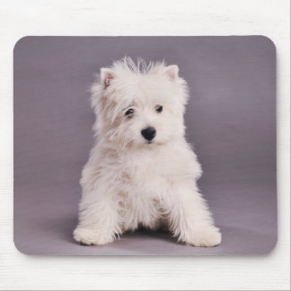 Westie mousepad musmatta