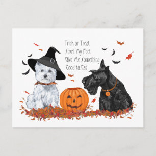 Westie och Scottie Halloween Helg Vykort