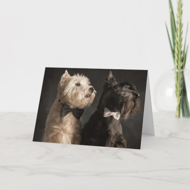 Westie och Scottie Kort (Framsida)