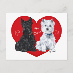 Westie och Scottie Valentine Helg Vykort