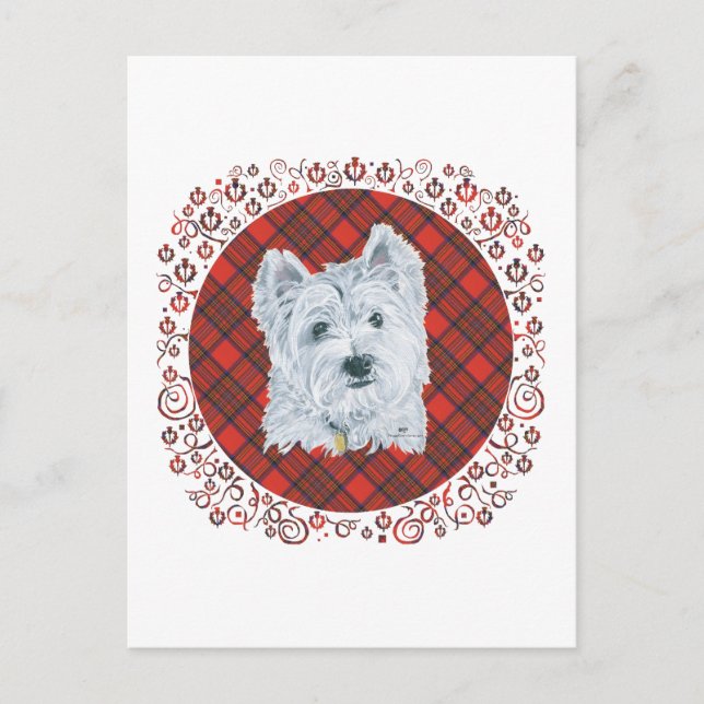 Westie on Tartan Vykort (Framsida)
