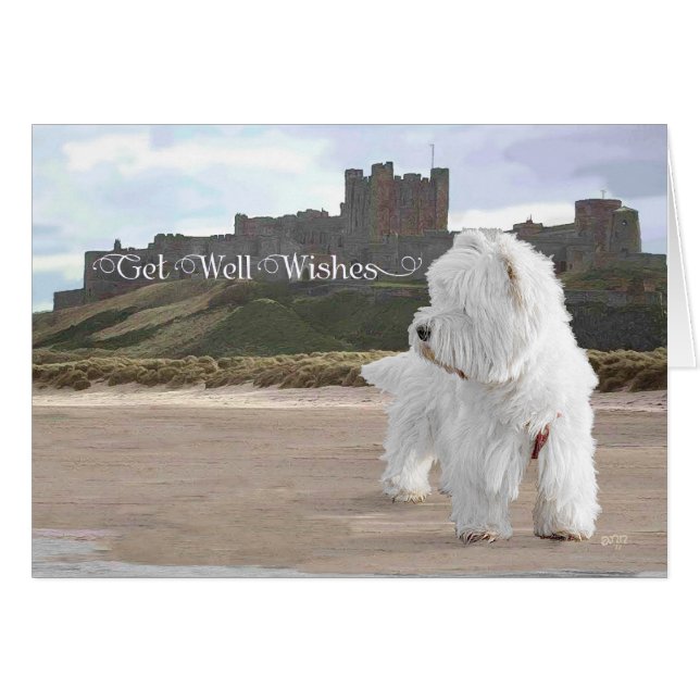 Westie på Bamburgh Castle Hälsningskort (Framsidan Horizontal)