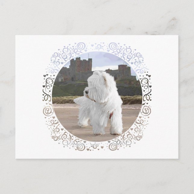Westie på Bamburgh Castle Vykort (Framsida)